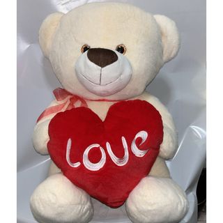 Urso médio