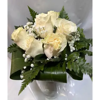 Rosas brancas