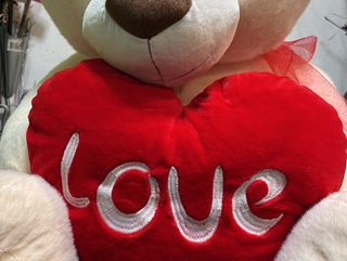 Urso médio