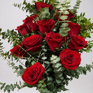 Paixão 12 Rosas Aspiral