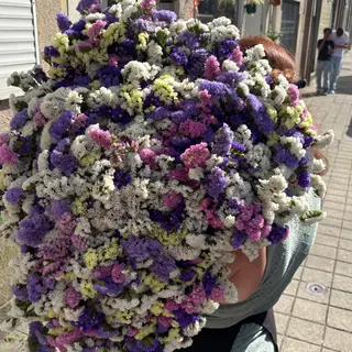 Flores sempre vivas