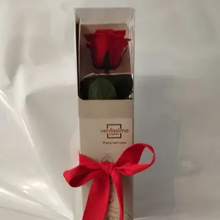 Rosa preservada vermelha