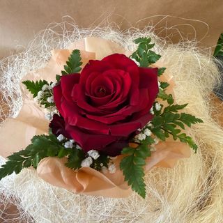 Rosa solitária vermelha