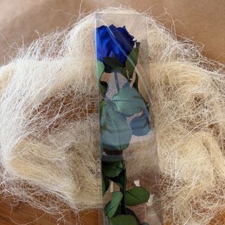 Rosa preservada azul