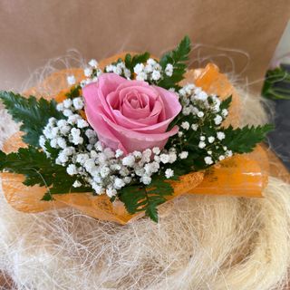 Rosa solitária rosa