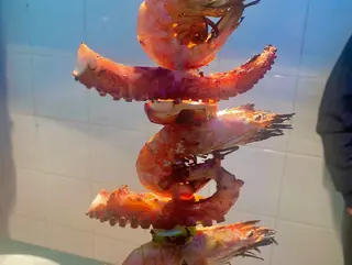 Espetada de Polvo