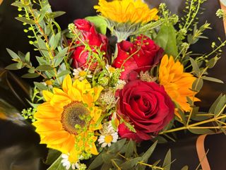 Coração de Girassol