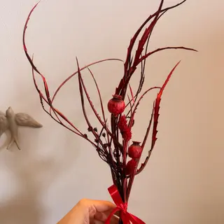 Ramo vermelho (Direito)