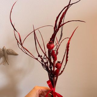 Ramo vermelho (Direito)