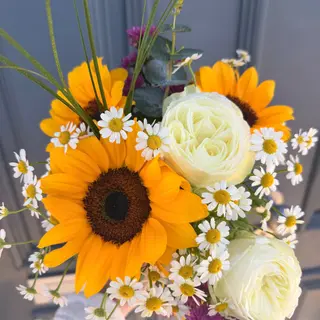 Brisa de Primavera