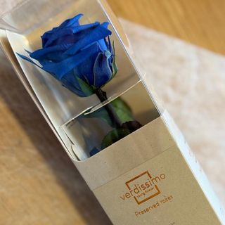 Rosa preservada mini