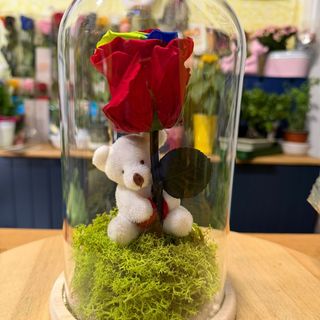 Cúpula com Rosa Preservada