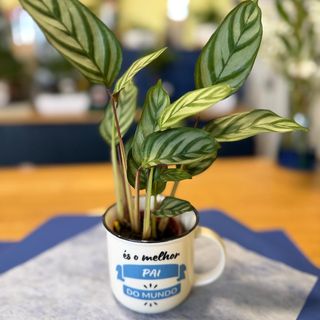 Caneca com planta