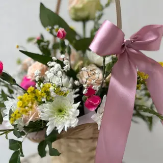 Cesta PRIMAVERA