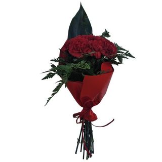 Cravos de Abril