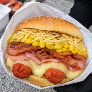 X dog Bacon