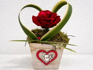 Caixa São Valentim