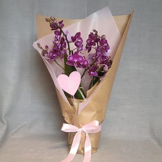 Orquídea