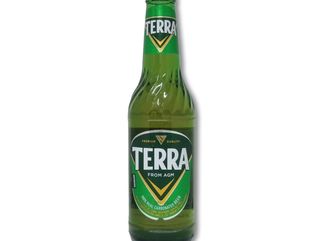 CERVEJA TERRA