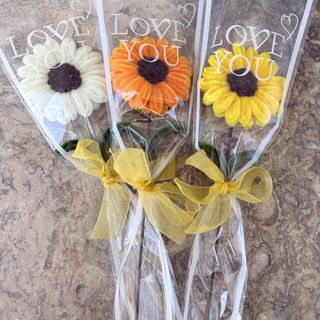 1 Flor Pipe Cleaners/Fuzzy Wires