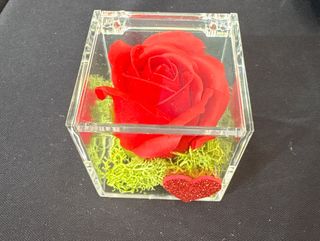 Rosa de Sabão