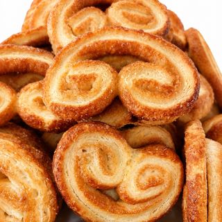 Mini palmier