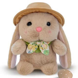 Coelho  com Chapeu