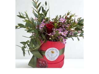 Caixa Premium de Rosas do Equador-Pequena