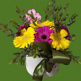 #2005 Gerbera Box Mulher Empoderada