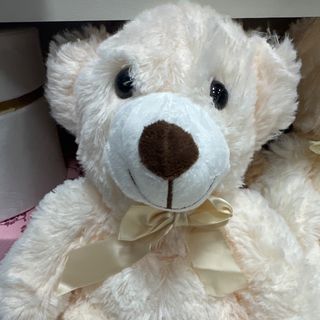 Urso branco
