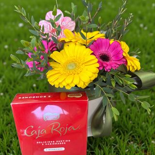 # 4002  Combo Gerberas Vibrantes e Resilientes