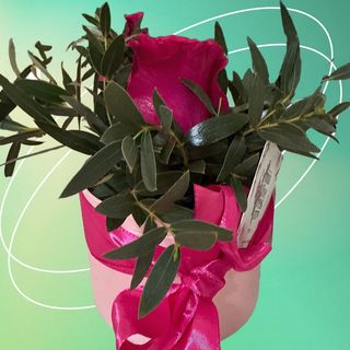 #2001 Caixa  com Rosa do Equador