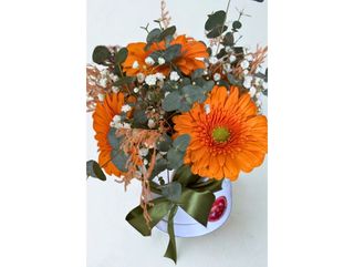 Caixa  Media Gerberas