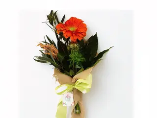 #1031  Buquet Força Radiante