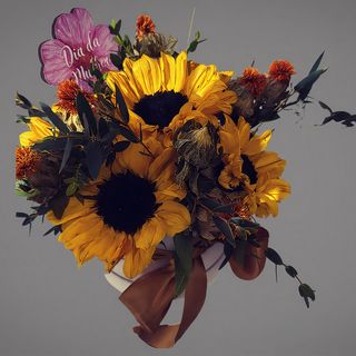 # 2003 Girassol Box Força Feminina