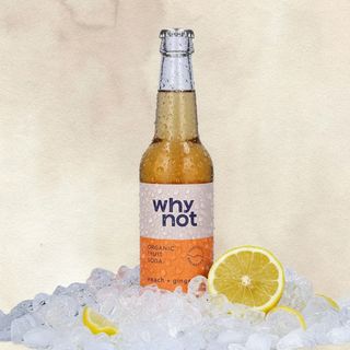 Craft Soda Organica why not Pêssgo e Gengibre