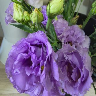 Ramo de eustoma lavanda