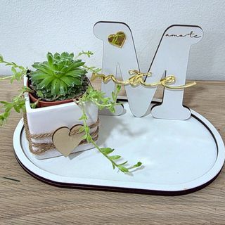 Placa MDF Mãe com suculenta