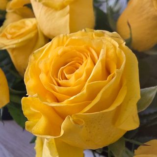Ramo 3 rosas amarelas