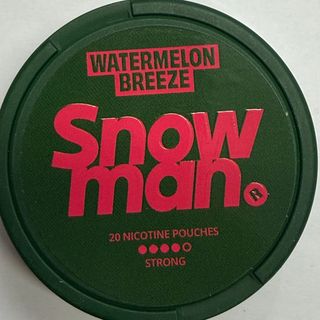 Snow man