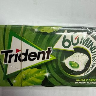 Trident 60 minutes spearmint