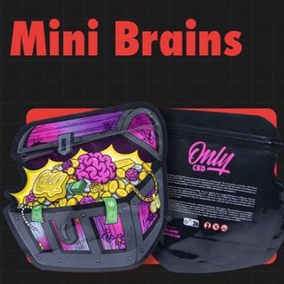 Mini brains 10g CBD