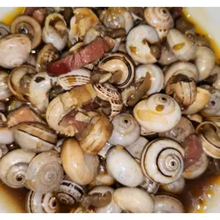 CARACOIS