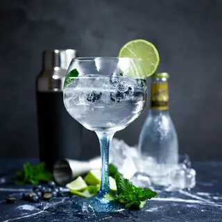 Gin and Tonic