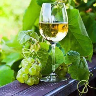 Bottle of Green Wine