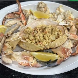 Sapateira macho grande