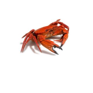 Navalheiras