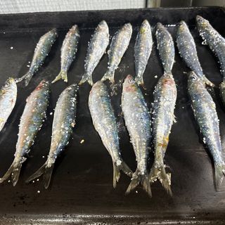 Sardinhas grelhada
