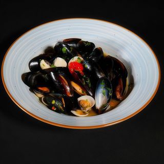 SCOICI IN SOS DE VIN