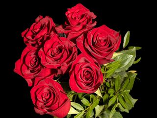 Buchet 7 trandafiri rosii